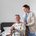 What are the 2 basic types of caregiver?